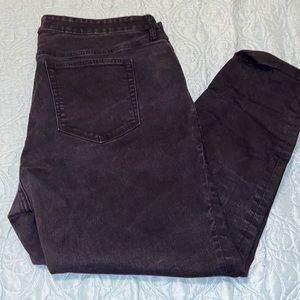 Loft Plus skinny jeans